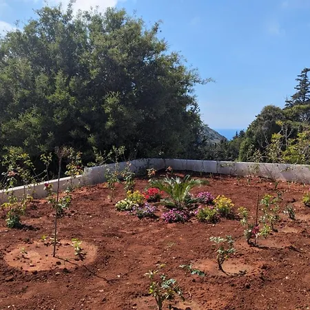 Semesterbostad Myrtos Breeze - 5 Min From Myrtos *